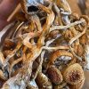Arenal Volcano Magic Mushrooms